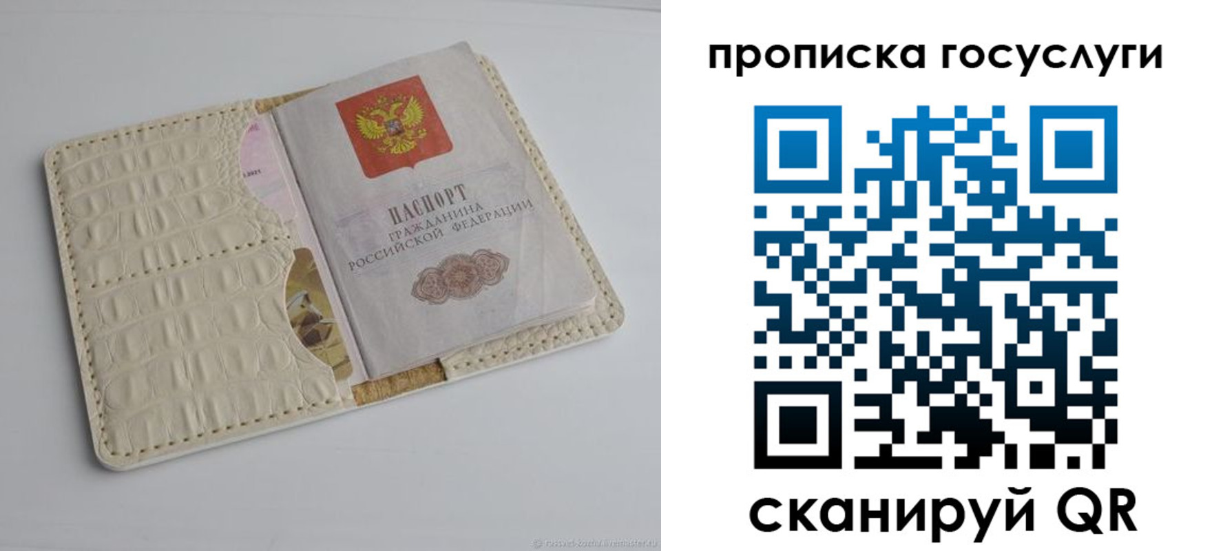 прописка законно в Каргополе